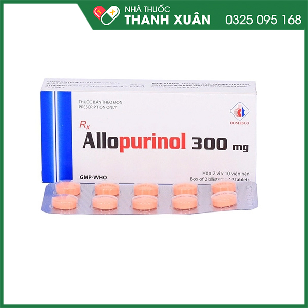 Allopurinol 300 trị gout mãn tính, sỏi thận